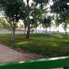Jardín de la Calzá (1)